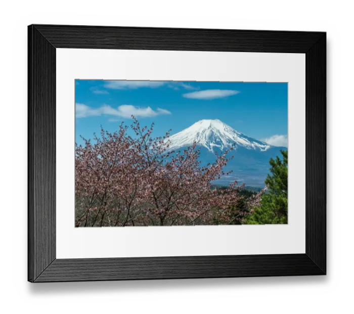Framed Print : Spring of Oshino Framed Print : Spring of Oshino