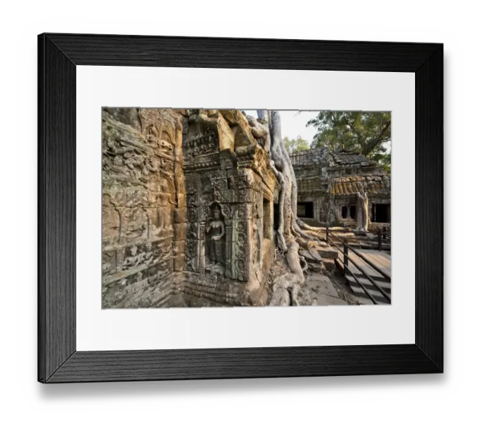 Framed Print : Cambodia, Siem Reap, Angkor Wat, Ta Prohm Temple Framed Print : Cambodia, Siem Reap, Angkor Wat, Ta Prohm Temple