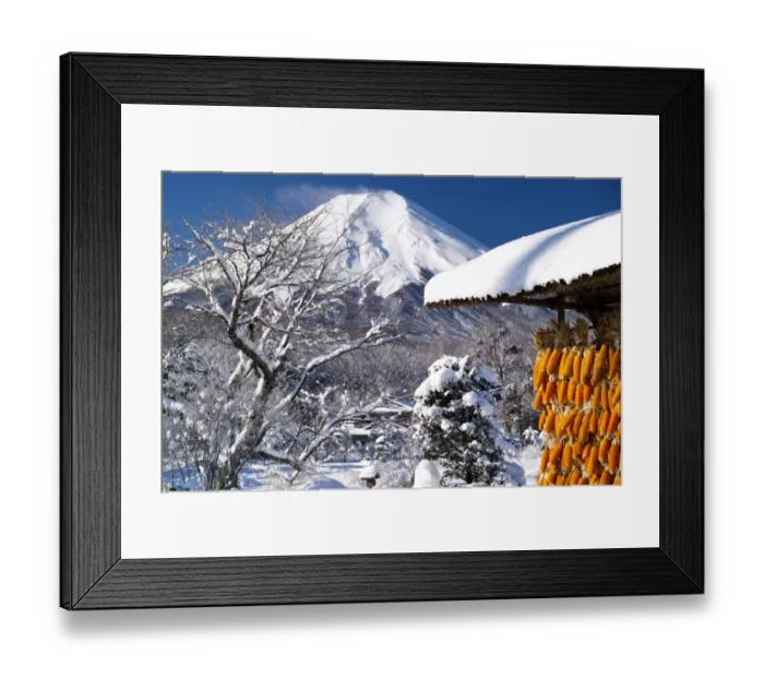 Framed Print : Dried corn in the snow world Framed Print : Dried corn in the snow world