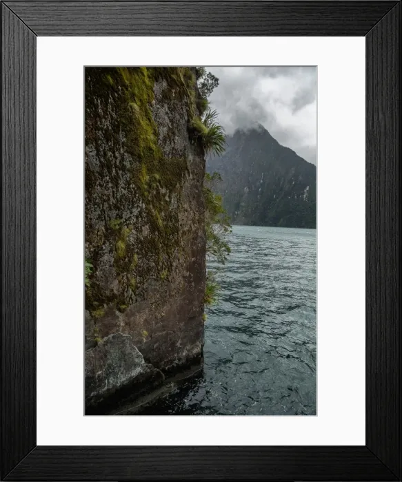 Framed Print : Milford Sound Framed Print : Milford Sound