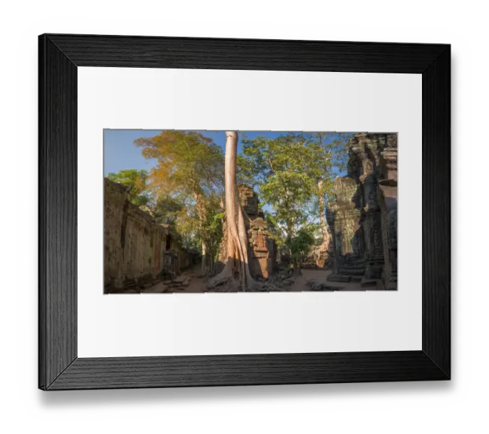 Framed Print : Ta Prohm Angkor Wat Cambodia-Panorama Framed Print : Ta Prohm Angkor Wat Cambodia-Panorama