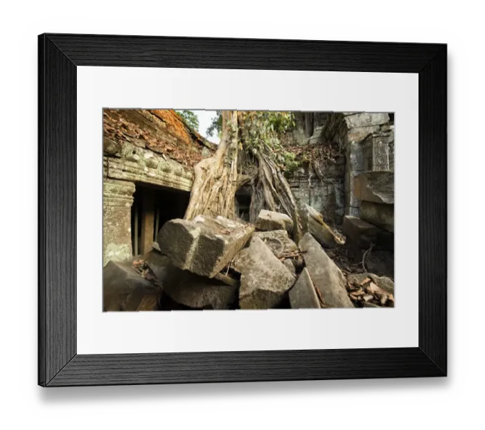 Framed Print : Ta Prohm jungle temple, Siem Reap, Cambodia Framed Print : Ta Prohm jungle temple, Siem Reap, Cambodia