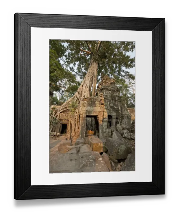 Framed Print : Ta Prohm jungle temple, Siem Reap, Cambodia Framed Print : Ta Prohm jungle temple, Siem Reap, Cambodia