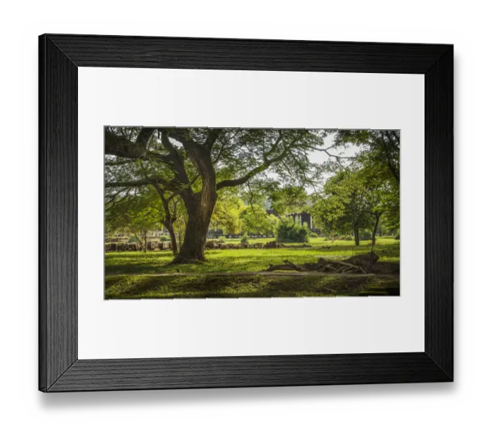 Framed Print : Gardens and trees of Angkor wat Framed Print : Gardens and trees of Angkor wat