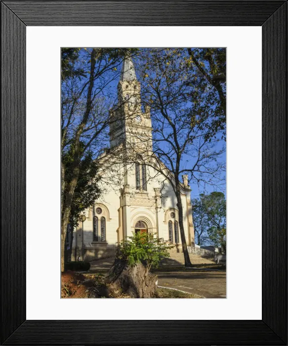 Framed Print : Catholic cathedral hidden by tree branches Framed Print : Catholic cathedral hidden by tree branches