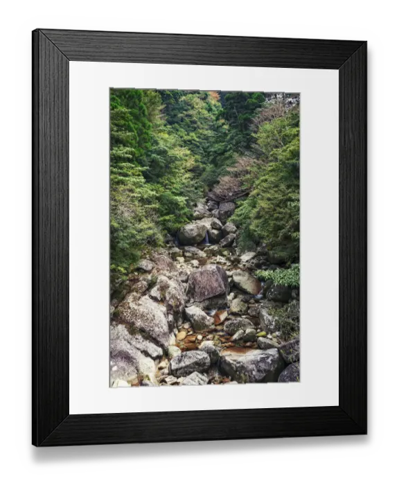 Framed Print : Jomon Sugi Trail, Yakushima, Japan Framed Print : Jomon Sugi Trail, Yakushima, Japan