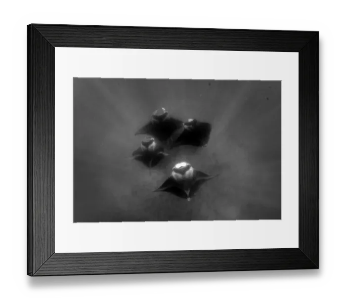 Framed Print : Manta Formation