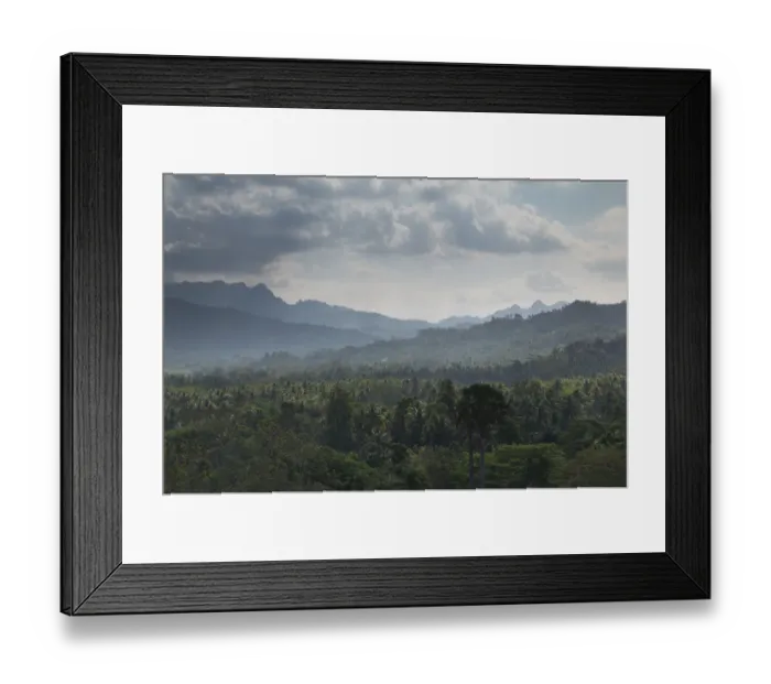 Framed Print : rain forest near Borobudur Temple