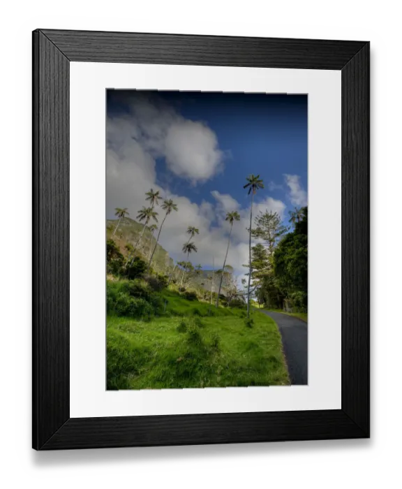 Framed Print : Lord Howe Island, majestic and scenically wonderful, is part of New South Wales, Australia Framed Print : Lord Howe Island, majestic and scenically wonderful, is part of New South Wales, Australia