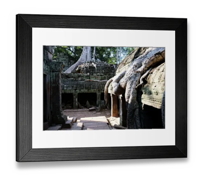 Framed Print : Ta Prohm, Angkor, Siem Reap, Cambodia Framed Print : Ta Prohm, Angkor, Siem Reap, Cambodia