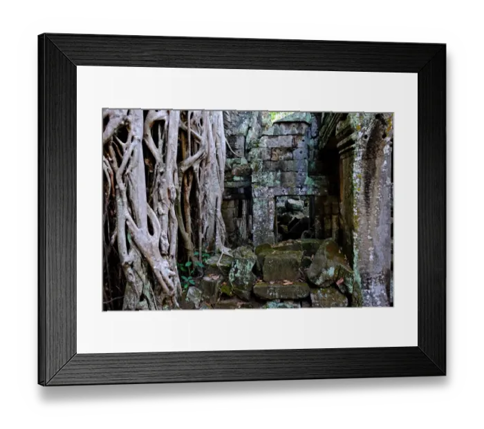 Framed Print : Ta Prohm, Angkor, Siem Reap, Cambodia