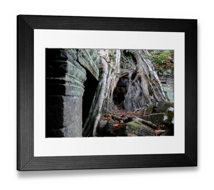 Framed Print : Ta Prohm, Angkor, Siem Reap, Cambodia Framed Print : Ta Prohm, Angkor, Siem Reap, Cambodia
