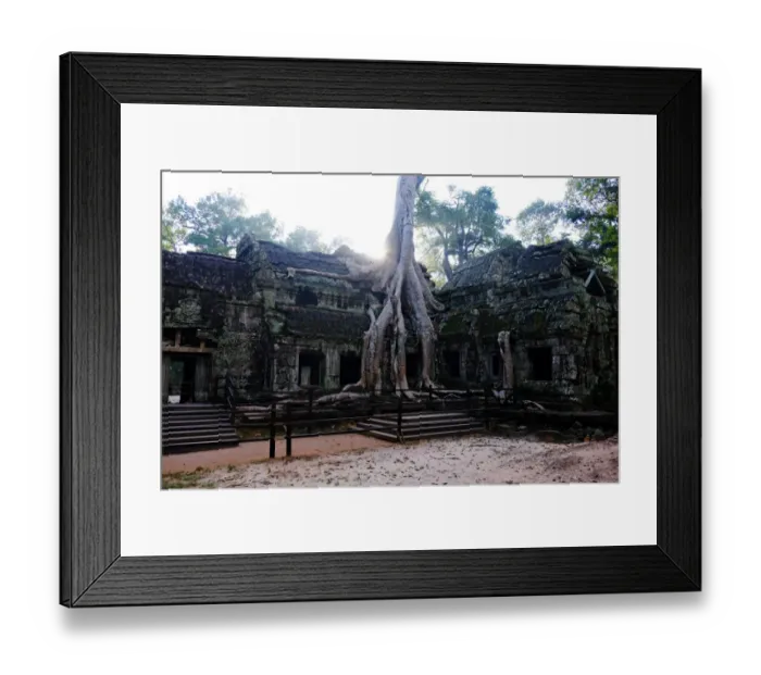 Framed Print : Ta Prohm, Angkor, Siem Reap, Cambodia Framed Print : Ta Prohm, Angkor, Siem Reap, Cambodia