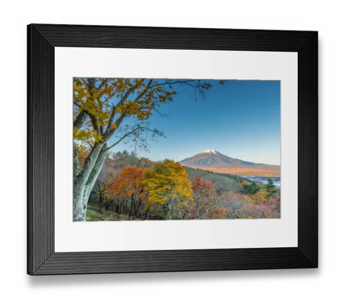 Framed Print : Fuji autumnal scenery Framed Print : Fuji autumnal scenery