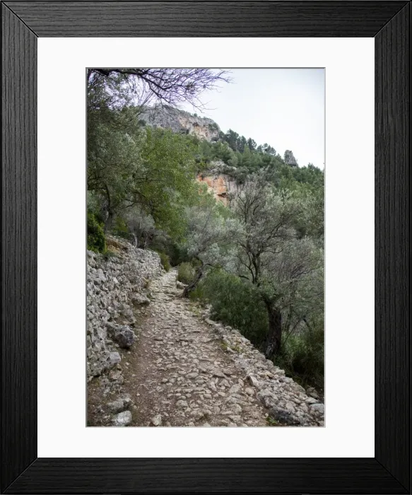 Framed Print : Hiking path in Sierra de Tramuntana