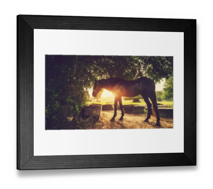 Framed Print : Angkor Wat Sunrise Framed Print : Angkor Wat Sunrise