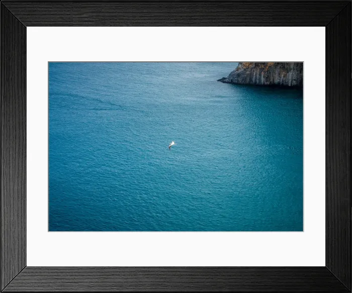 Framed Print : Dolphins Bay Framed Print : Dolphins Bay