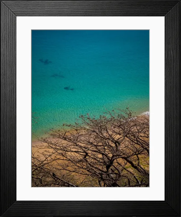 Framed Print : Sancho Beach Framed Print : Sancho Beach