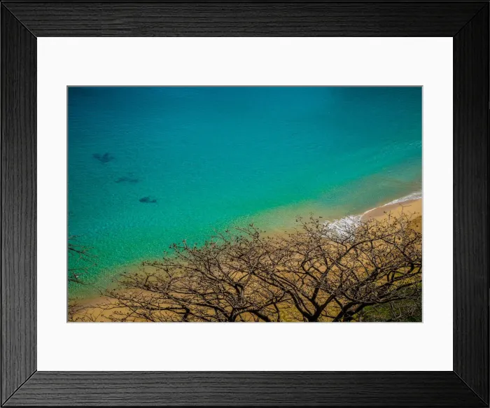 Framed Print : Sancho Beach Framed Print : Sancho Beach