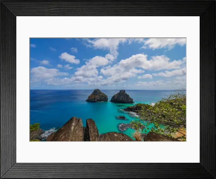 Framed Print : Dolphins Bay Framed Print : Dolphins Bay