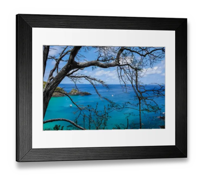 Framed Print : Dolphins Bay