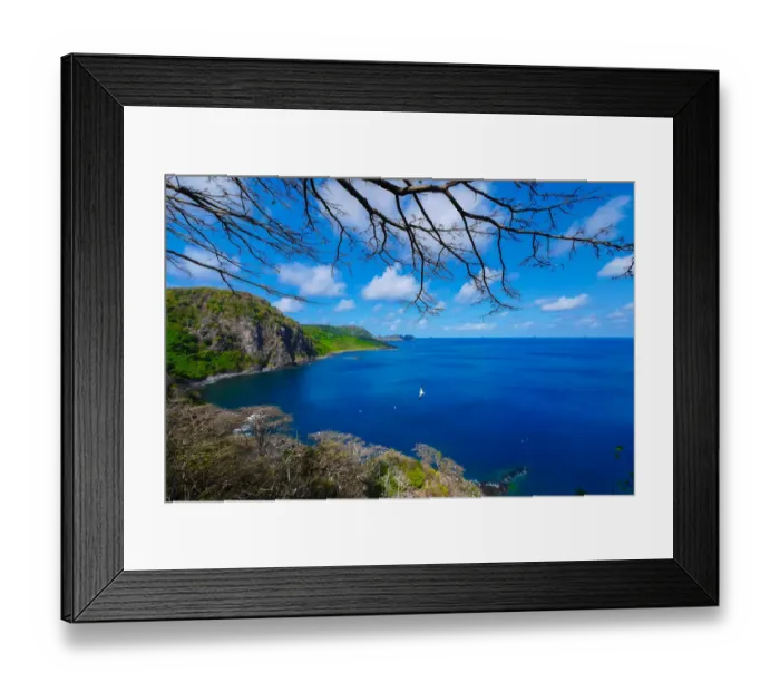 Framed Print : Dolphins Bay