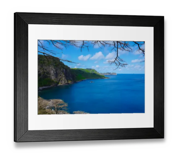 Framed Print : Dolphins Bay Framed Print : Dolphins Bay