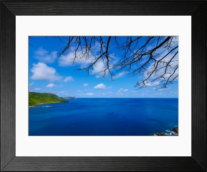 Framed Print : Dolphins Bay Framed Print : Dolphins Bay