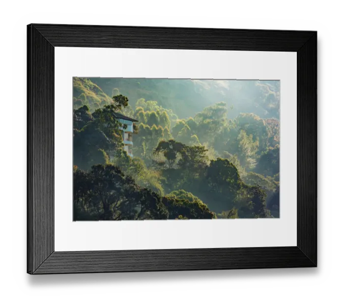Framed Print : Misty morning in the mountain forest Framed Print : Misty morning in the mountain forest
