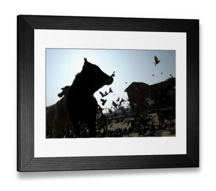 Framed Print : Pashupatinath Temple in Kathmandu