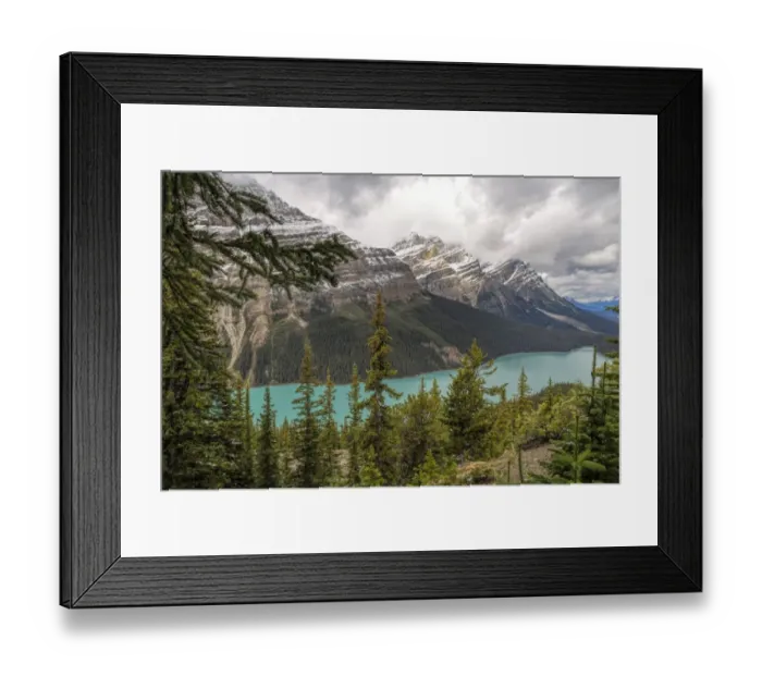 Framed Print : Peyto Lake in Banff National Park Framed Print : Peyto Lake in Banff National Park