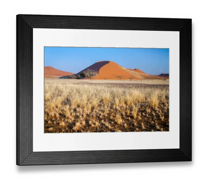Framed Print : Dried plants around Dune 45 Namib Desert Framed Print : Dried plants around Dune 45 Namib Desert