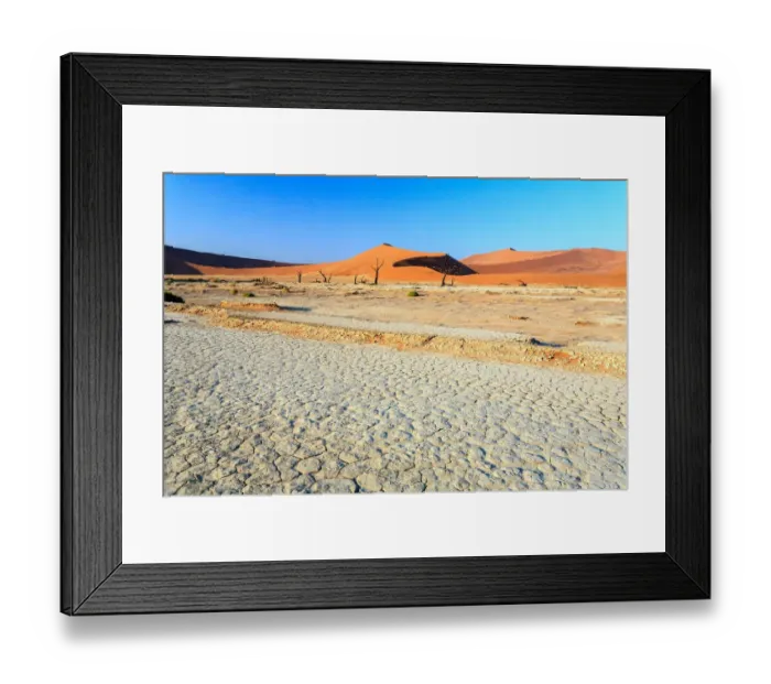 Framed Print : Dead Acacia trees in the arid Namib Desert Framed Print : Dead Acacia trees in the arid Namib Desert