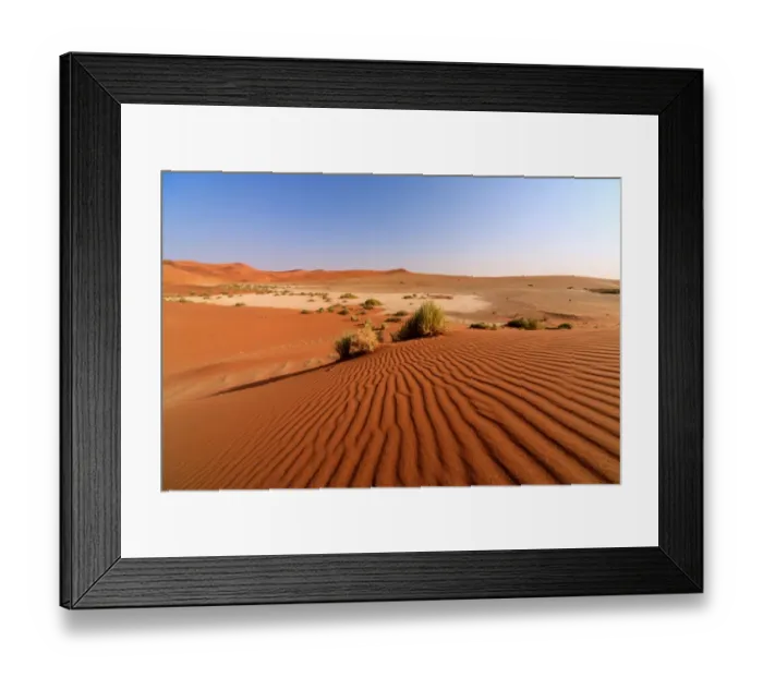 Framed Print : Sandy dunes and dried plants Namib Desert Framed Print : Sandy dunes and dried plants Namib Desert
