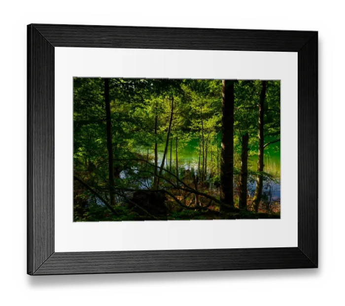 Framed Print : Looking Through The Forest Towards A Lake Framed Print : Looking Through The Forest Towards A Lake
