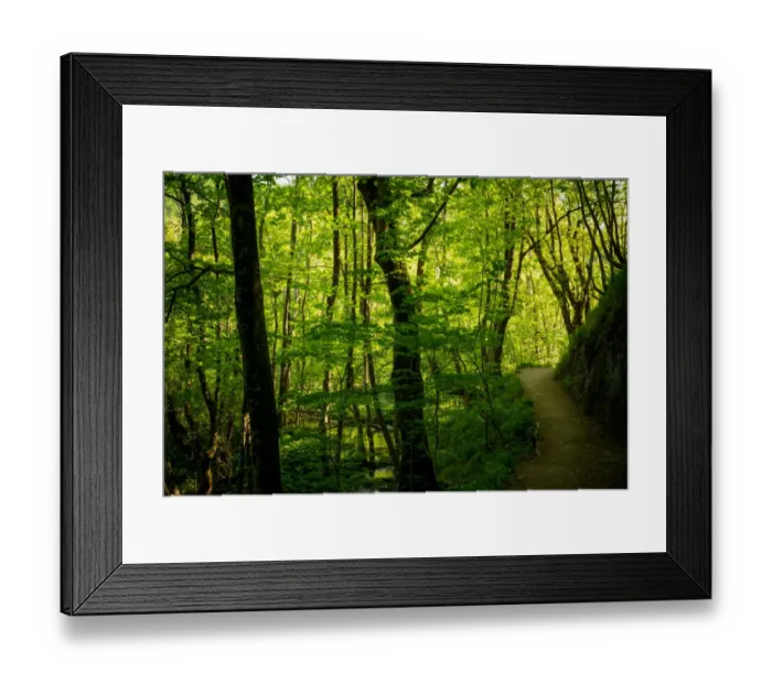 Framed Print : Hiking Path In Plitvice Lakes National Park Framed Print : Hiking Path In Plitvice Lakes National Park