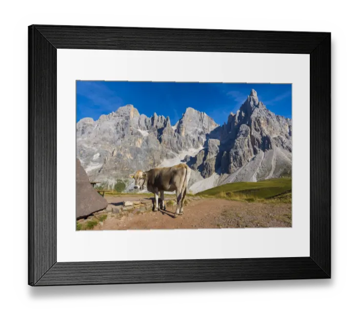 Framed Print : Pale di San Martino Framed Print : Pale di San Martino