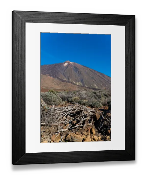 Framed Print : Volcanic soil and vegetation near Teide Framed Print : Volcanic soil and vegetation near Teide
