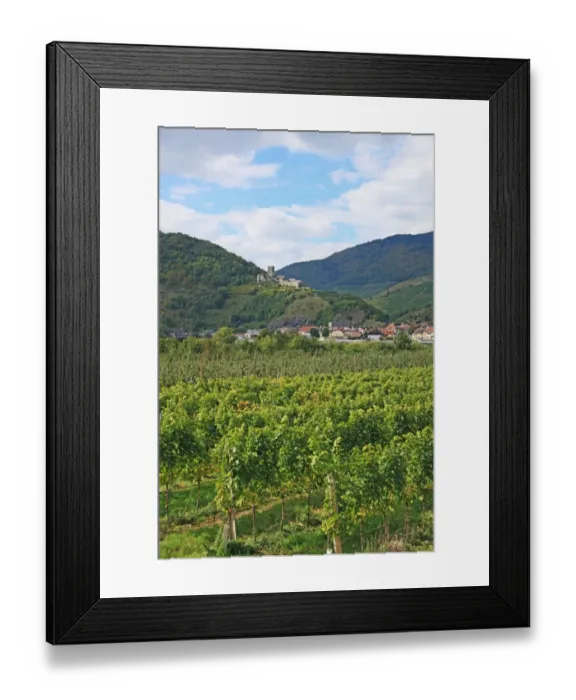 Framed Print : Austria, Wachau, Spitz an der Donau Framed Print : Austria, Wachau, Spitz an der Donau