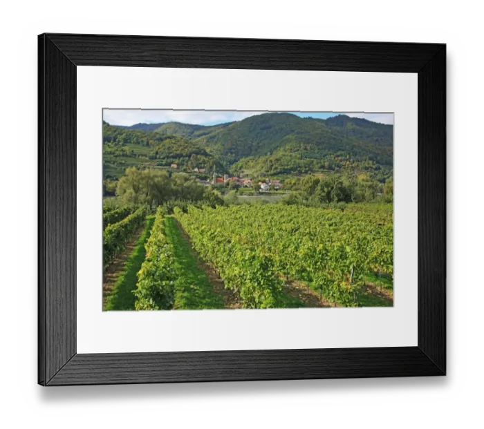 Framed Print : Austria, Wachau, Schwallenbach Framed Print : Austria, Wachau, Schwallenbach
