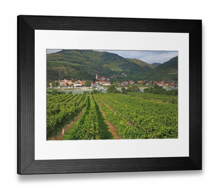 Framed Print : Austria, Wachau, Spitz an der Donau Framed Print : Austria, Wachau, Spitz an der Donau