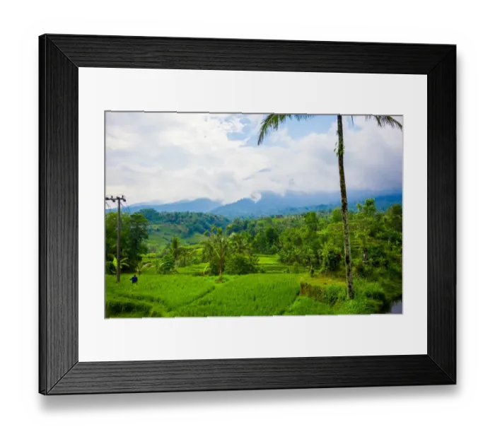 Framed Print : Terraced Rice Fields, Jatiluwih, Bali, Indonesia Framed Print : Terraced Rice Fields, Jatiluwih, Bali, Indonesia