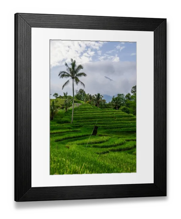 Framed Print : Terraced Rice Fields, Jatiluwih, Bali, Indonesia Framed Print : Terraced Rice Fields, Jatiluwih, Bali, Indonesia