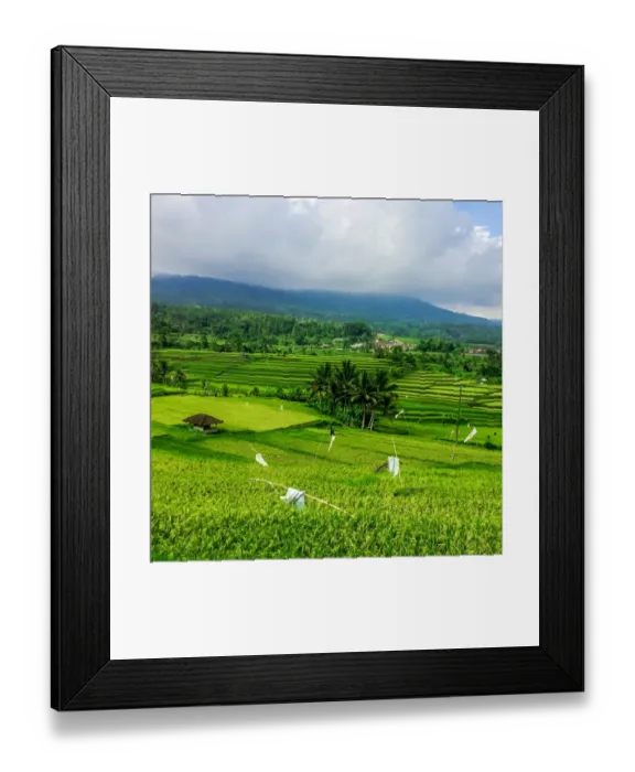 Framed Print : Terraced Rice Fields