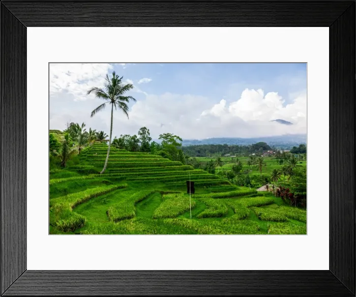 Framed Print : Terraced Rice Fields Framed Print : Terraced Rice Fields