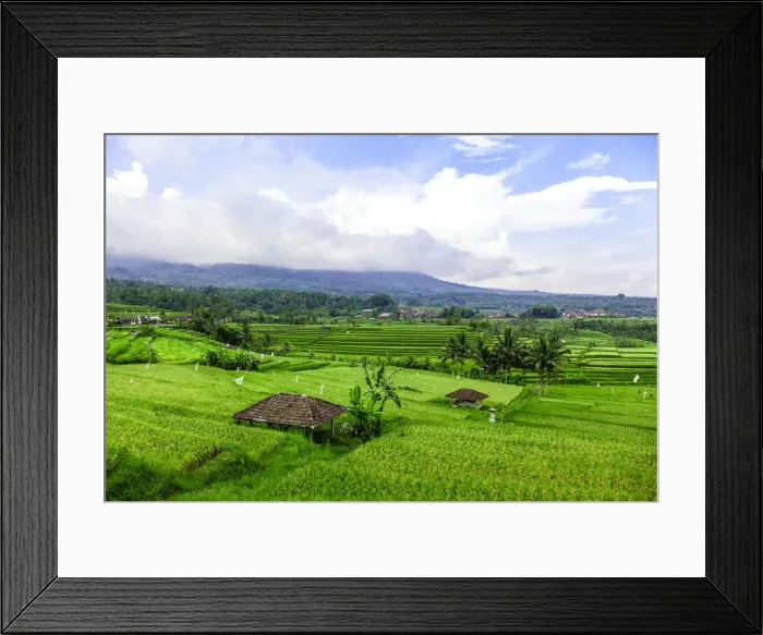 Framed Print : Terraced Rice Fields, Jatiluwih, Bali, Indonesia Framed Print : Terraced Rice Fields, Jatiluwih, Bali, Indonesia