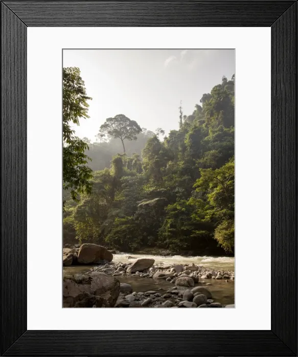 Framed Print : Bahorok River running through Gunung Leuser