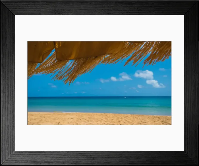 Framed Print : Bbrazilian sunshade Framed Print : Bbrazilian sunshade