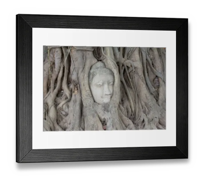 Framed Print : Buddha head Framed Print : Buddha head