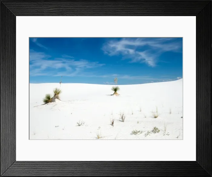 Framed Print : Yucca tree at White Sands National Monument Framed Print : Yucca tree at White Sands National Monument